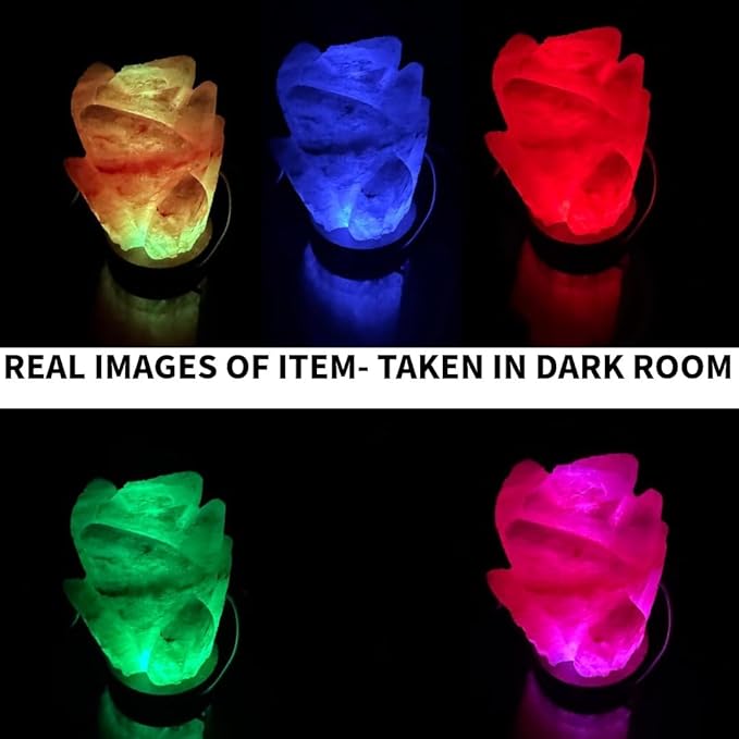 HL Himalayan Pink Salt USB Multi Colored lamp (Flower)