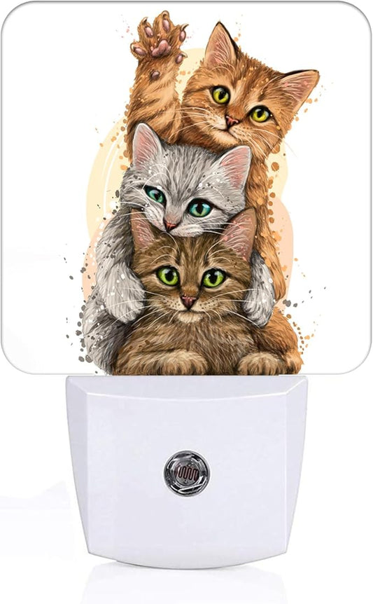 Three Cute Kittens Night Light,Plug Into Wall for Boys Girls Bedroom Decorative Square Night Light Lamp 0.5w Sleep Friendly