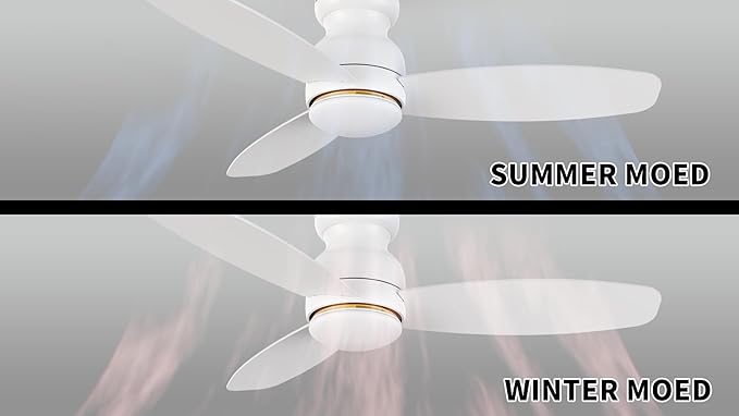 Carro Ceiling Fan with Lights, Indoor & Outdoor Ceiling Fan, 52" Low Profile DC Smart Ceiling Fan Compatible with Alexa, Siri, Google Home & Smart APP, 2 Colors of Reversible Blades,White