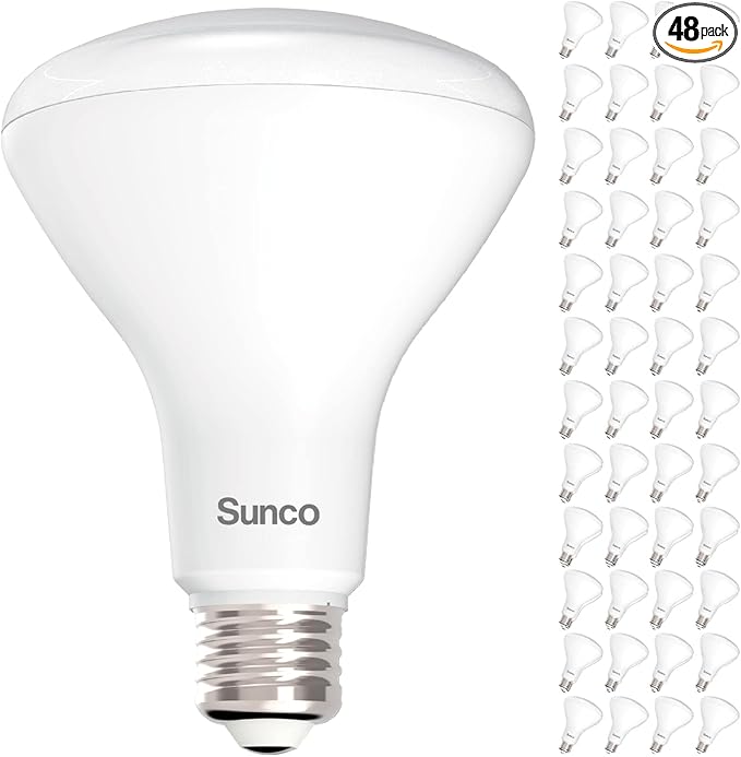 Sunco 48 Pack BR30 Light Bulbs LED, Recessed Can Light Bulbs, Indoor Flood Bulb, 850 LM, 11W (65W Equivalent), 3000K Warm White, Dimmable, E26 Base, for Home, Kitchen, Bedroom UL