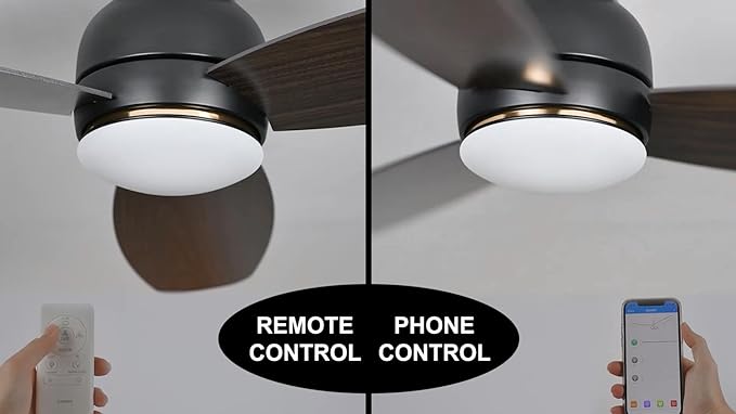 Carro Ceiling Fan with Lights, Indoor & Outdoor Ceiling Fan, 52" Low Profile DC Smart, Compatible with Alexa, Siri, Google Home & Smart APP, 2 Colors of Reversible Blades, Dark Walnut & Wood