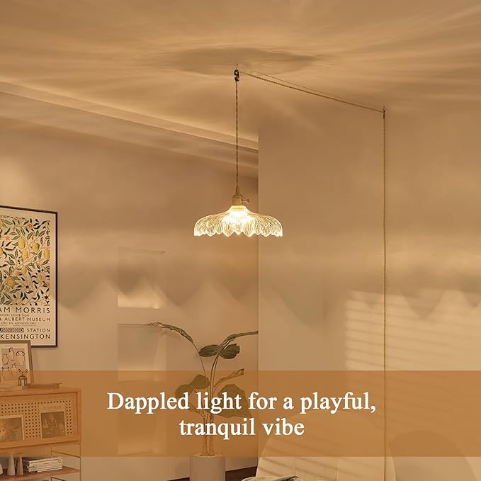 Plug in Pendant Light, 14Ft Cord Clear Glass Shade Hanging Light, Industrial Pendant Light for Dinning Room On/Off Switch Hanging Lamp Plug in, Bedroom and Kitchen Island