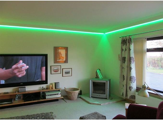 95FT/Roll 60LEDs/M 24V 5050 IP67 Waterproof RGB LED Flexible Strip Light w/Bluetooth Remote & Controller(Waterproof) and Power Supply(Waterproof)