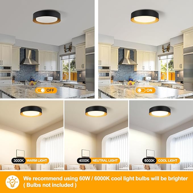 Modern Flush Mount Ceiling Lights,Minimalist 16.5IN Round Close to Ceiling Light Fixtures,Black and Gold Metal Ceiling Lighting Lamp for Living Room,Dining Room,Bedroom,Kitchen