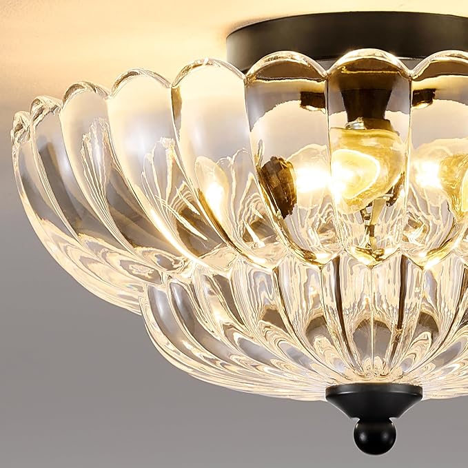Modern Black Ceiling Light Fixture, 12" Clear Glass Flush Mount Chandeliers, Semi Flush Mount Ceiling Light Fixture Suitable for Living Room Hallway Kitchen Bedroom