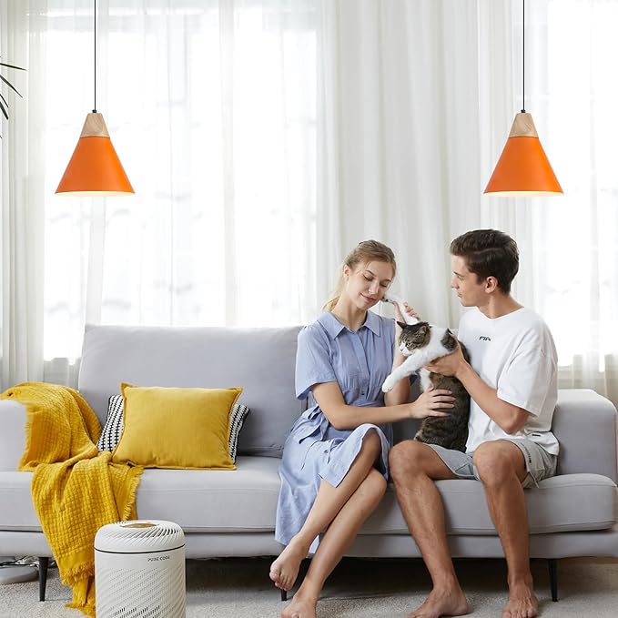 Orange Plug in Pendant Light, 2 Pack 9.4inch Hanging Lights with Plug in Cord 14.7 ft, Hanging Pendant Light, Hanging Lamp Plug in for Bedroom Living Room Kitchen Island