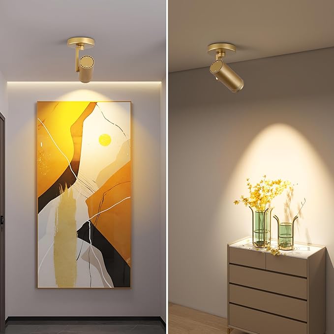 12W LED Gold Dimmable Zoomable Ceiling Spotlight Indoor – Adjustable Surface Mount Accent Light for Corridor, Living Room, Plants & Painting | Warm White 3000K CRI 97, Flicker-Free, 2 Packs