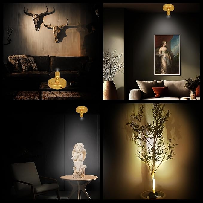 LED Spotlight Indoor,Rechargeable Battery Uplighting Indoor with Timer,3CCT Dimmable Accent Spot Lights for Plants Tree Wall Art Display Painting Artwork Portrait Dartboard Gallery-Gold