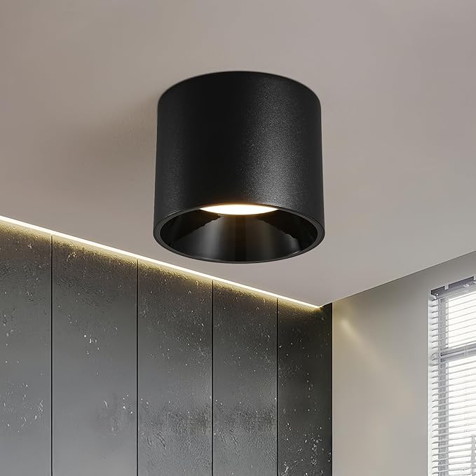 Modern LED Flush Mount Ceiling Light Fixture, 20W Dimmable & 3000K-6000K 3 Color Selectable Black Cylinder Ceiling Lamps for Low Profile Living Room Hallway Entryway Kitchen Dining Room Foyer