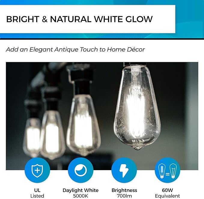 Hizashi Vintage LED Light Bulb Dimmable, 6W Equivalent 60W, E26 Base Led Edison Bulbs, 5000k Daylight, 700LM, High CRI 95+ Eye Protection, Clear Glass, Pack of 18
