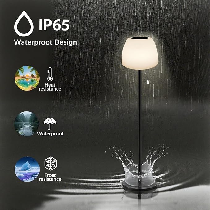 Solar Floor Lamp Outdoor Waterproof, Christmas Lights Charging Cable for Rechargeable Floor Lamp, Cordless Dimmable Warm White+RGB+16 Colors LED Floor Lamps for Lawn, Pool, Garden 59 inch