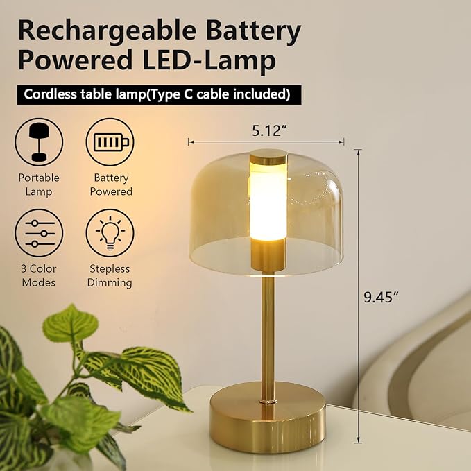 Rechargeable Cordless Table Lamp,Portable Modern LED Night Light,Battery Operated Lamp,3 Color Stepless Dimming Up,for Restaurant/Bedroom/Bars/Outdoor Party/Camping/Coffee Shop