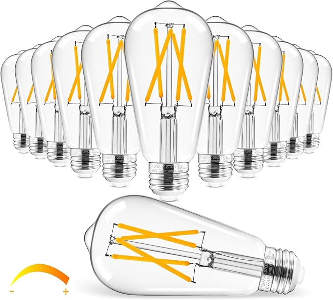 Hizashi Vintage LED Edison Bulb Dimmable, 6W Equivalent 60W, 2700k Warm White, E26 Base Led Light Bulbs, 700LM, High CRI 95+ Eye Protection, Clear Glass, Pack of 12