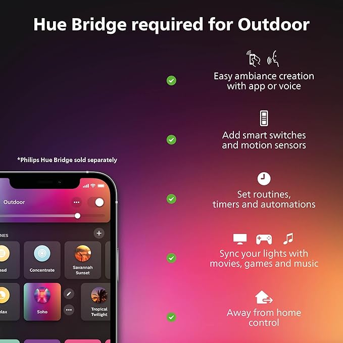 Resonate Hue WACA NAM wall Lantern LED