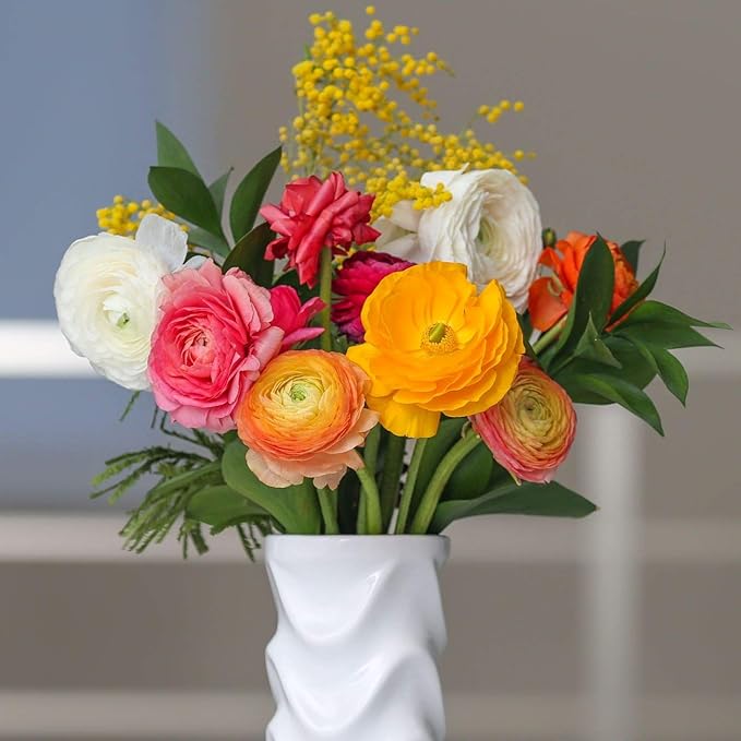 Easy to Grow Ranunculus Tecolote Spring Fever Collection - 30 Plant Bulbs, Orange Pink & White Flowers in Spring, Full Sun Mediterranean