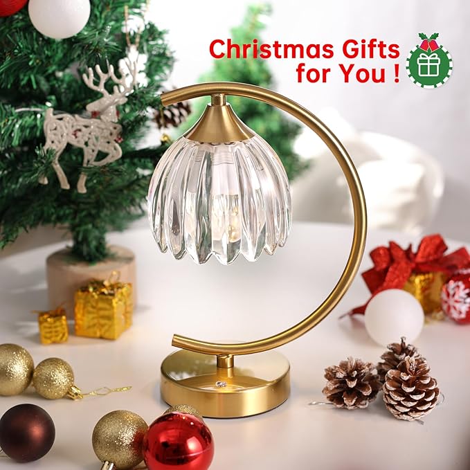 Set of 2 Tulip Table Lamp, 5200mAh Cordless Touch Control Table Lamp with 3 Color Temps & Stepless Dimming, Rechargeable Battery Table Lamp for Living Room, Bedroom, Shelf (Transparent Tulip)