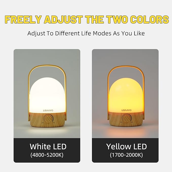 Night Light - Dimmable Touch Lamp with 5 Brightness Colors, with Portable Handle, Type-C Rechargeable with Battery, for Bedroom/Side Table (Wood Bottom)