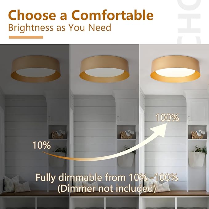 Bargeni Flush Mount Ceiling Light, 12.5 inch LED Ceiling Light Fixture, Polished Gold Finish, Dimmable/3000K/18W, Outdoor Flush Mount Lighting Fixture