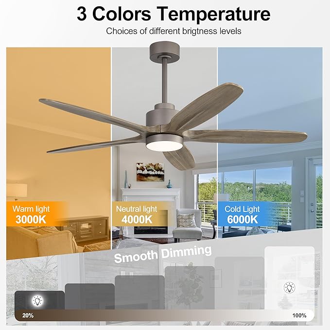 WINGBO 54" Ceiling Fan with Light - 5 Carved Solid Wood Blades, 6-Speed Reversible DC Motor, Dimmable, 3CCT, Noiseless Remote Control Ceiling Fans with Lights for Bedroom Living Room, Charcoal Gray