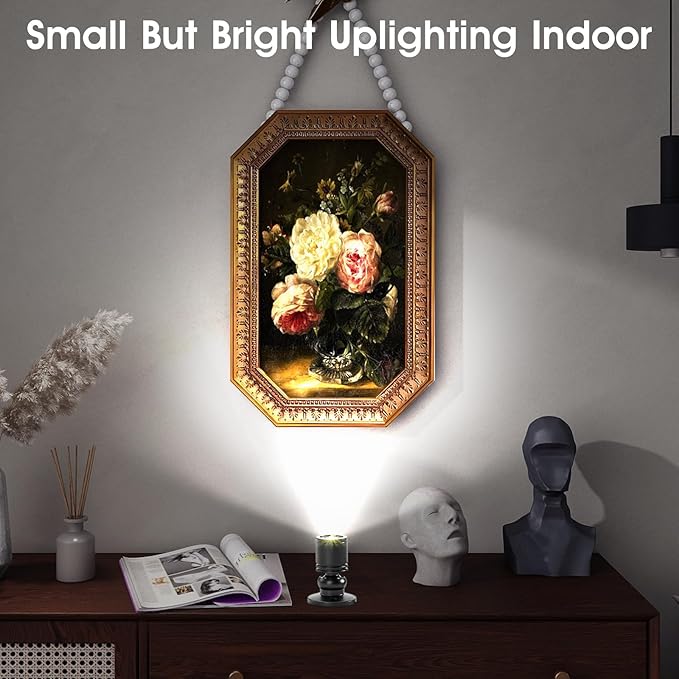 DEDC 6Pcs Led Mini Spot Light, Indoor Picture Lights, 1.5W 12V 6000K Art Light, Accent Up Lights with Wireless RF Dimmer, Closet Spotlight for Plants Jewelry Showcase Model Display Shelves
