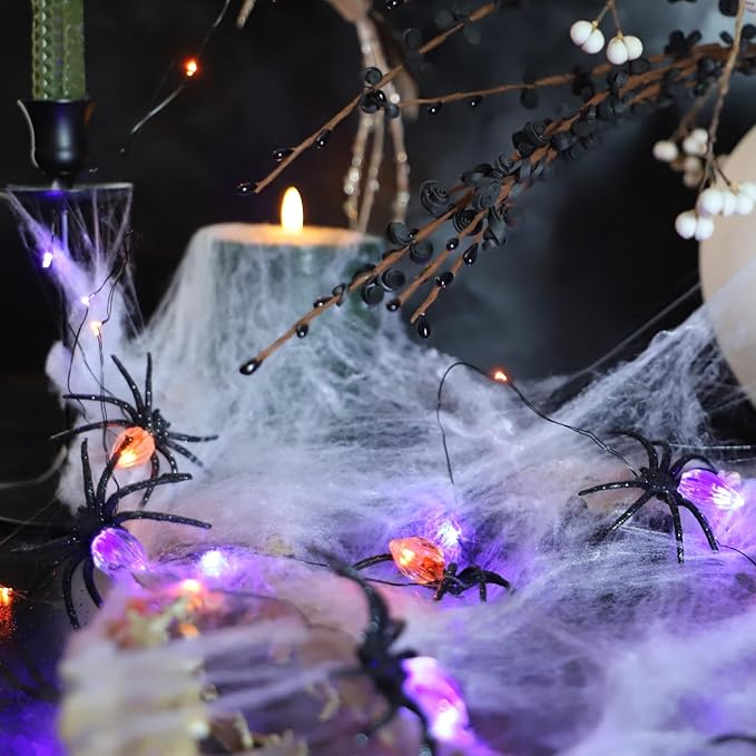 Nature Rattan Pumpkin String Lights Fall Garland with Lights Battery Operated with Remote - Perfect Thanksgiving Halloween Fall Decorations (Spider Fairy)
