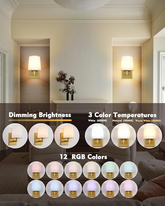 HEQIQEH Vintage Rechargeable Battery Powered 1-Light Fabric Wall Sconce, Dimmable Cordless Wall Mounted Lamp Fixture with Remote Control for Living Room Bedside Dining Room Hallway