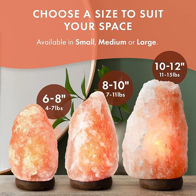 The Body Source Himalayan Salt Lamp 10-12 Inches (11-15lb) | Includes Dimmer Switch | Natural Salt Rock Lamp with Handcrafted Wooden Base & Night Light (Bulb Replacement) (Pack of 2)