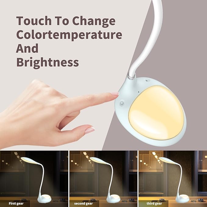LED Desk Lamp, 2 in 1 Dimmable Reading Lamp, Touch Desk Lamps for Home Office Dorm with 3 Color Modes, Eye-Caring Lamp with USB Port, Gifts for Boys Girls (Blue)