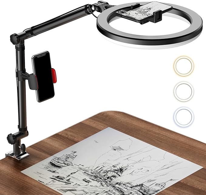 Ring Light with Stand and Phone Holder, USB 10" Ring Light for Desk, Overhead Camera Mount with Ringlight, Desk Lamp with Clamp for Photography/Makeup/Live StreamVideo/YouTube