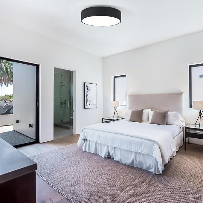 Modern Flush Mount 2-Light Round Black Ceiling Light Fixture, Minimalistic Acrylic Shade Lighting for Bedroom, Laundry Room, Foyer, Hallway (11.8")