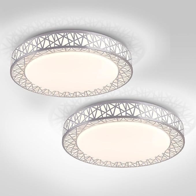 ASD 20 Inch LED Flush Mount Ceiling Light Fixture for Bedroom, 42W 2474LM 5CCT 2700K-5000K, Dimmable Lights, Dining, Living Room, Kitchen Lamps, Modern Home Lighting Fixtures, Nickel, ETL, 2 Pack
