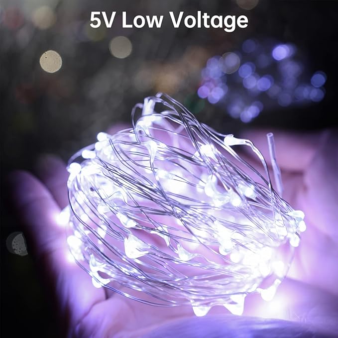 Blingstar USB Powered Fairy Lights, 2 Pack 33Ft 100 LED, Flexible Silver Wire, Mini String Lights for Christmas Tree/Bedroom/Camping/Dorm Indoor Decoration, Cool White