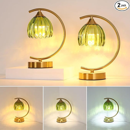 Set of 2 Tulip Table Lamp, 5200mAh Cordless Touch Control Table Lamp with 3 Color Temps & Stepless Dimming, Rechargeable Battery Table Lamp for Living Room, Bedroom, Office(Green Tulip)