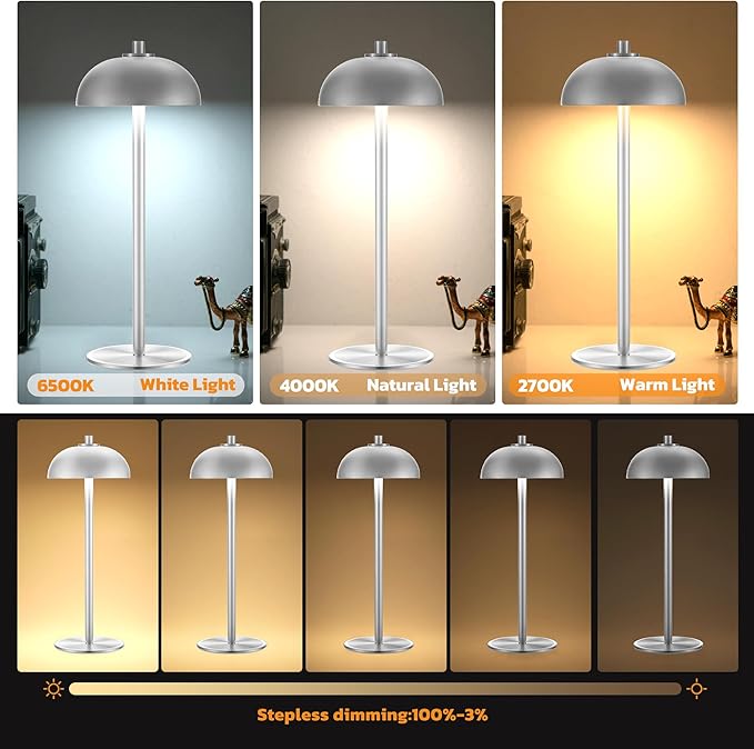 2 Pack Cordless Table Lamp, 5000mAh Portable Rechargeable Table Lamp, 3 Color Modes Stepless Dimming Table Light with Memory Function, for Dinner, Patio, Home, Restaurant.(Sliver)