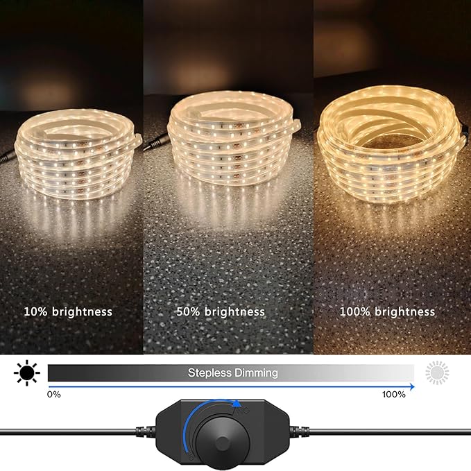 32.8FT Waterproof LED Rope Lights Warm White, Dimmable LED Strip, 12V Flat Outdoor String Light, Flexible Rope Lighting for Indoor Bedroom Deck Patio Christmas Camping