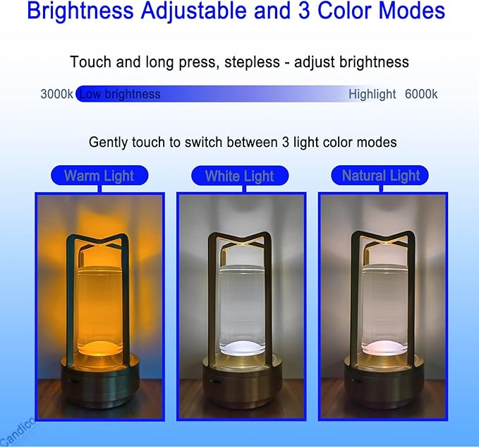 Cordless Table Lamp Rechargeable Portable Metal Touch Small Desk Lamp,Indoor/Outdoor Battery Operated LED Night Light,3Color Stepless Dimming Crystal Lantern,for bedrooms,Bars,cafes,Camping,Silver