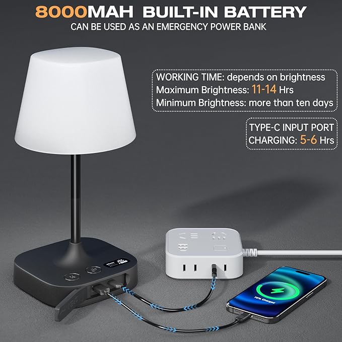 Lightbiz Outdoor Table Lamp, Shower Lamp with 8000mAh Cordless Rechargeable Battery, IP55 Waterproof, 3 Colors & 5 Brightness, Dimmable LED Display Bath Lamp for Camping,Bedroom,Patio,Bathroom(Black)