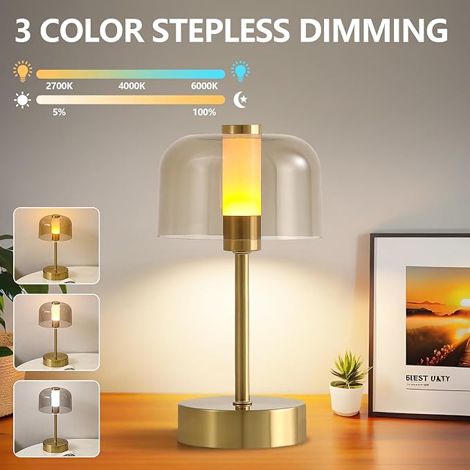Rechargeable Cordless Table Lamp,Portable Modern LED Night Light,Battery Operated Lamp,3 Color Stepless Dimming Up,for Restaurant/Bedroom/Bars/Outdoor Party/Camping/Coffee Shop