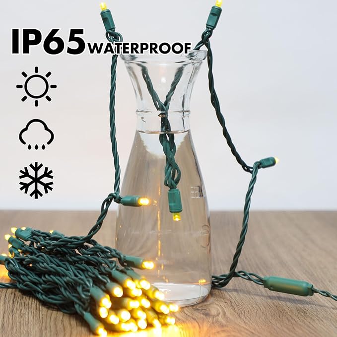 LAMPHOME 50LED String Lights,LED Christmas Lights,6" SPACING,Green Wire,Yellow Colour,Commercial Grade