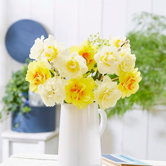 Garden State Bulb Double Mixed Daffodil Flower Bulbs, 14/16cm, Fall Planting (Bag of 100)