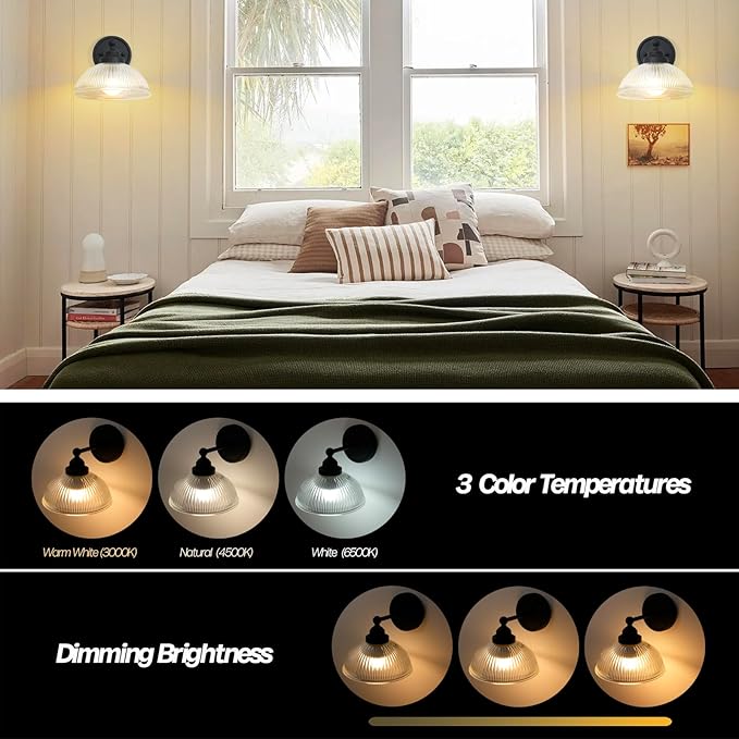 HEQIQEH Morden Rechargeable Battery Operated Industrial Wall Sconce with Clear Striped Glass Shade,Remote Control Wall Lamp, Modern Dimmable Indoor Wall Mount Light for Bedroom Living Room Restaurant