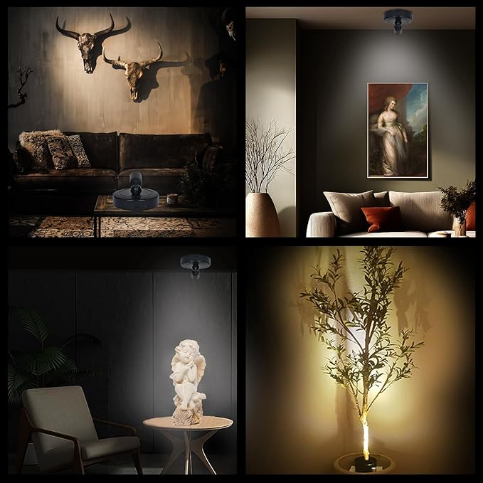 LED Spotlight Indoor,Rechargeable Battery Uplighting Indoor with Timer,3CCT Dimmable Accent Spot Lights for Plants Tree Wall Art Display Painting Artwork Portrait Dartboard Gallery-Black