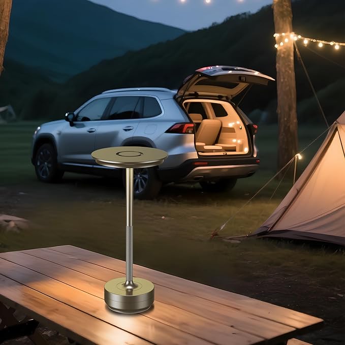 2-Pack Cordless Table Lamps Rechargeable - 5000mAh Battery Operated LED Table Light with Touch Stepless Dimming - Portable Silver Metal Outdoor Lamps for Patio, Restaurant, Dining