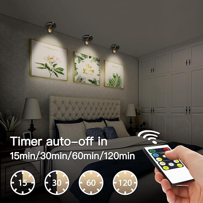 Indoor Plant Spotlight Battery Operated,Picture Light with Remote,Wall Painting Uplight,Wireless Dimmable Timer,Spot Light for Plants Trees Pictures Display Painting Art Frame Gallery Portrait