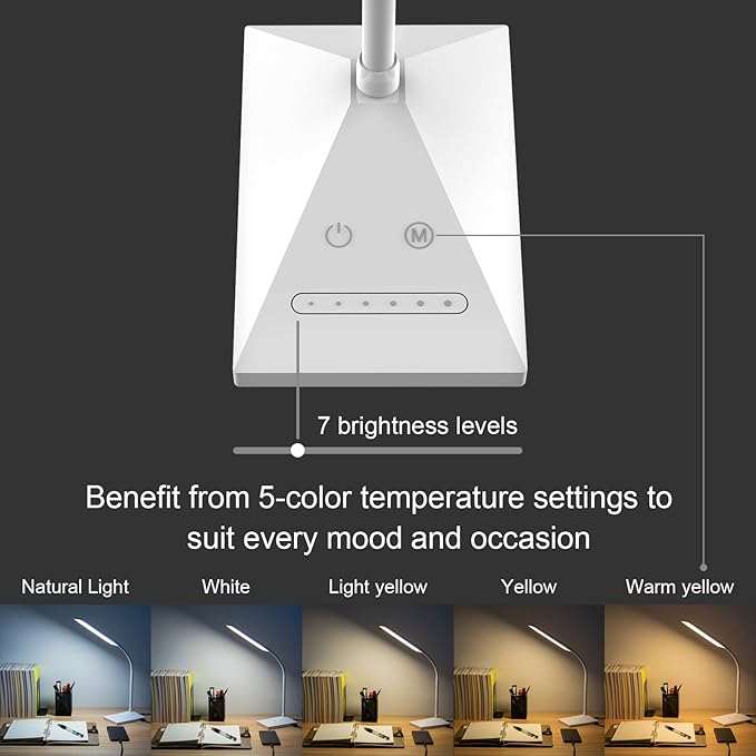 RAOYI LED Desk Lamp, 12W Dimmable Table Lamp Eye-Caring Reading Light with USB Charging Port Touch Control 5 Color Modes 7-Level Brightness Adjustable for Office Home Bedroom (White)