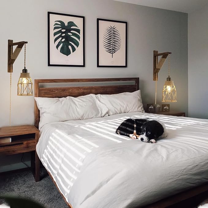 SEEBLEN Plug in Wall Sconces Set of 2,Farmhouse Hanging Lamps That Plug into Wall Outlet, Rustic Metal Cage Sconce with Wooden Bracket for Bedroom Living Room Headboard.