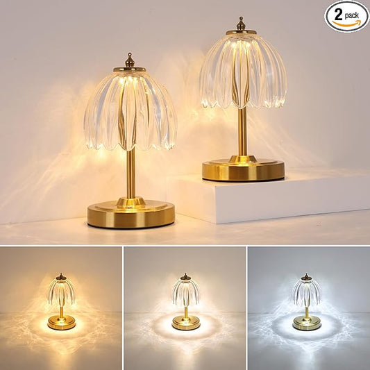Set of 2 Tulip Table Lamp with 5200mAh Battery & Touch Control, Cordless Small Table Lamp with 3 Colors, Rechargeable Battery Operated Table Lamps for Nightstand, Bedroom (Transparent Tulip)