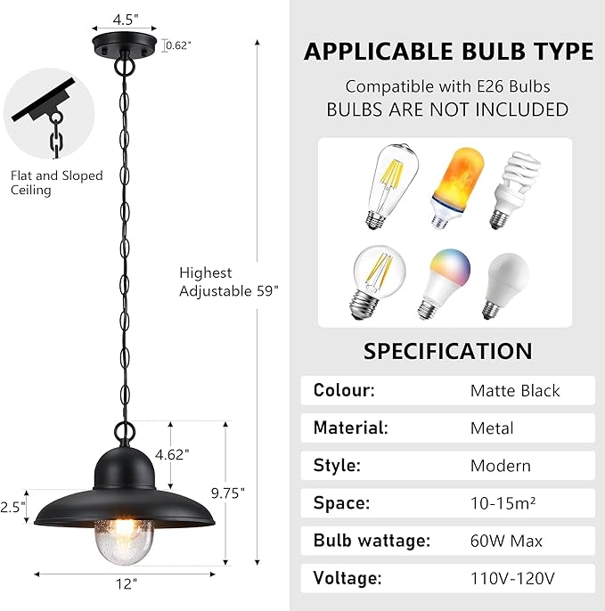 Outdoor Pendant Lights for Porch 12", Outdoor Farmhouse Hanging Light Fixture with Adjustable Chain and Bubble Glass, Black Rustic Exterior Pendant Light for Front Door, Gazebo, Entryway, Patio