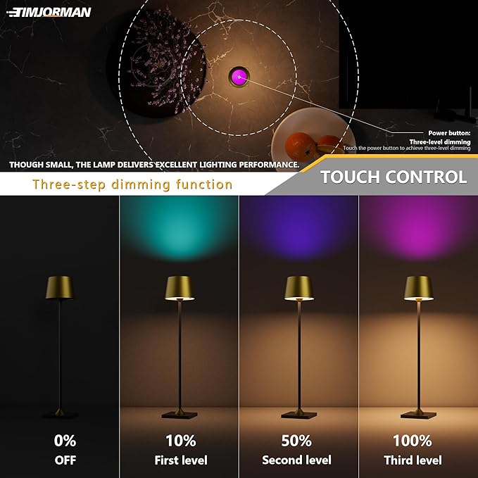 Compact Cordless Table Lamp, Rechargeable LED Night Light, Dual Light Source (RGB Top & Warm Bottom), Touch Control & Timer, Metal Lamp for Bedroom & Kids Room (Antique Brass & Black)