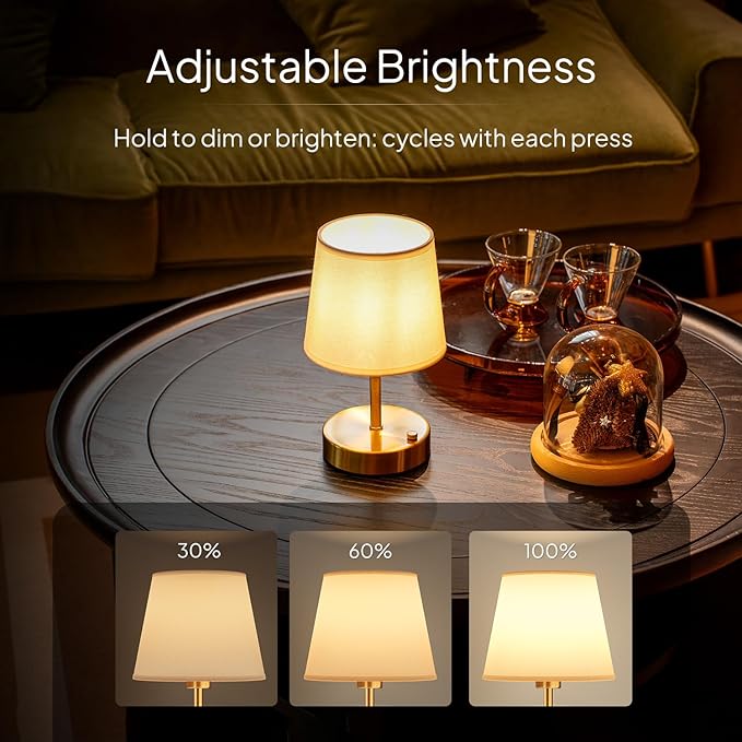 EppieBasic Cordless Table Lamp Small: Fast Charging & Long Lasting - 2700K Warm Light Dimmable - Vintage Mini Rechargeable Lamps for Dinning Living Room Bedroom